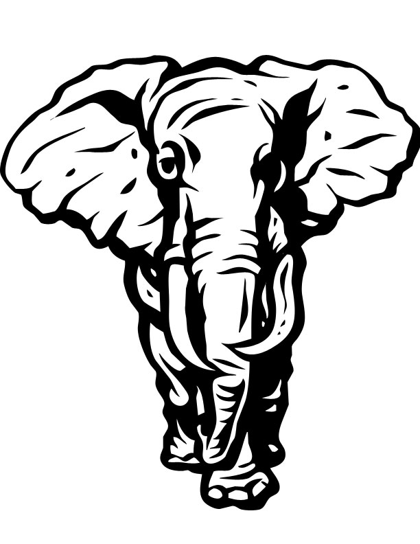 an elephant
