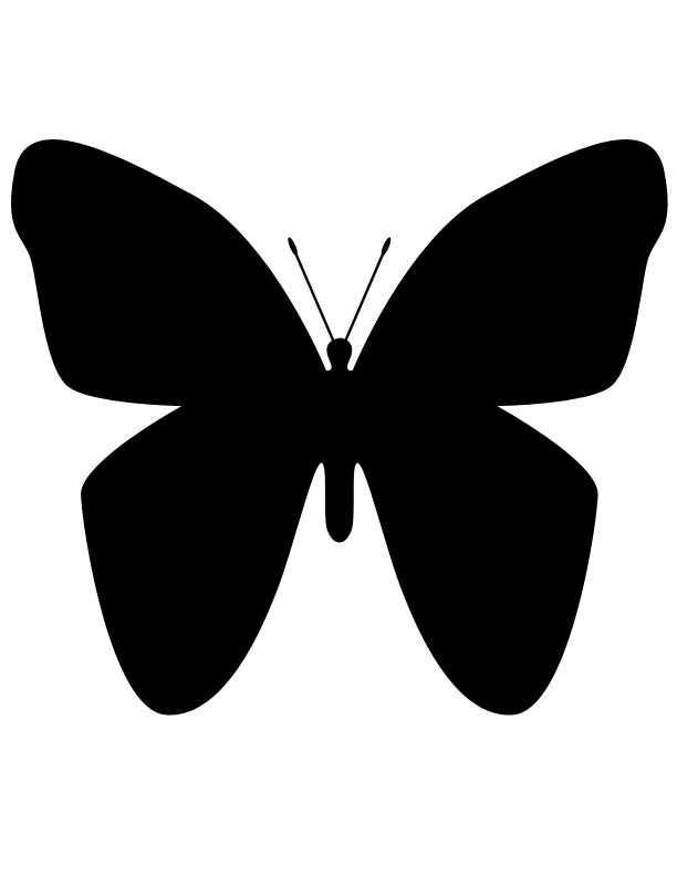 a butterfly