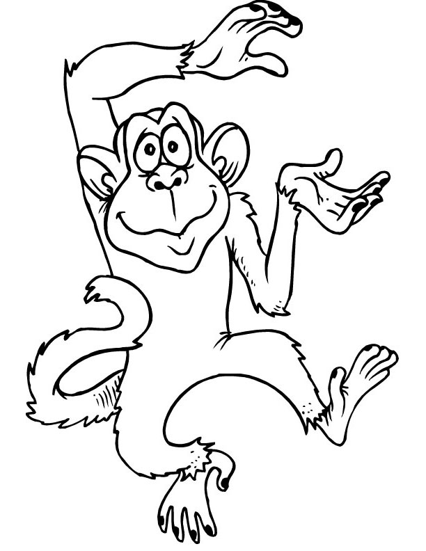 a monkey