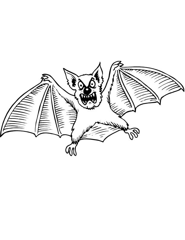 a bat